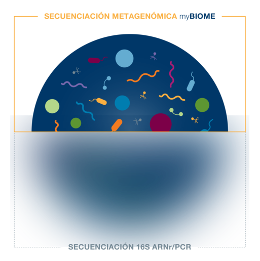 myBIOME analiza todos los microorganismos que habitan en tu intestino.
