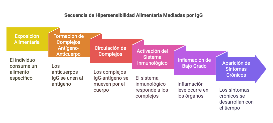 Prueba de sensibilidades alimentarias IgG
