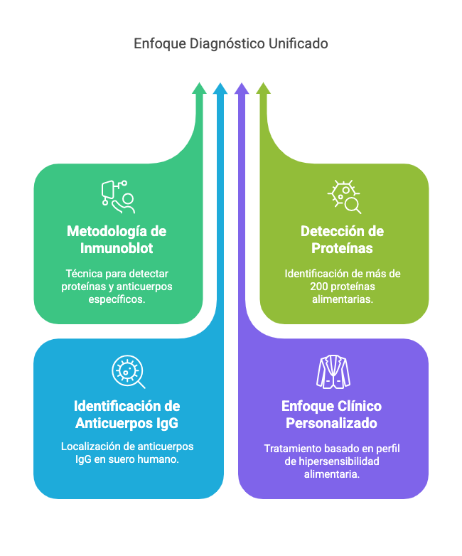 Prueba de sensibilidades alimentarias IgG