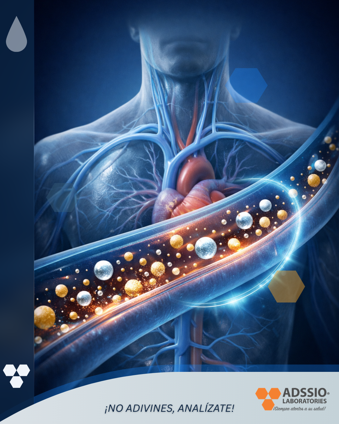 IG_2026-Post_No_50-ADSSIO_Laboratories.png