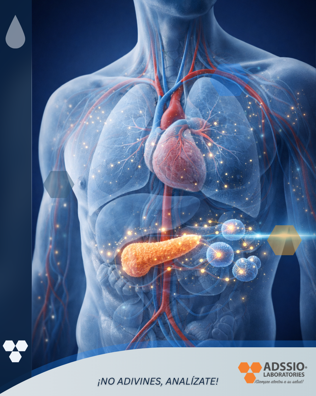 IG_2026-Post_No_51-ADSSIO_Laboratories.png